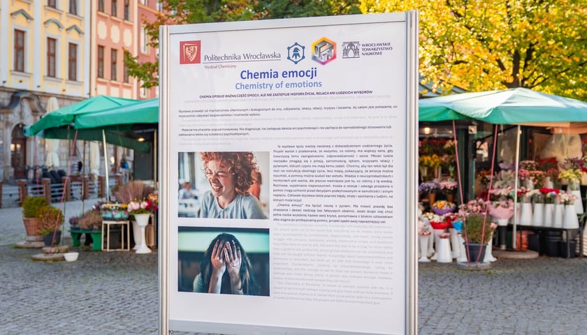 Wystawa plenerowa na placu Solnym: Chemia emocji, w ramach Dolnośląskiego Festiwalu Nauki.