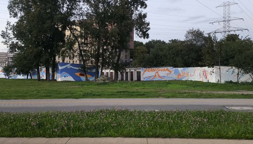 Murale na Białowieskiej