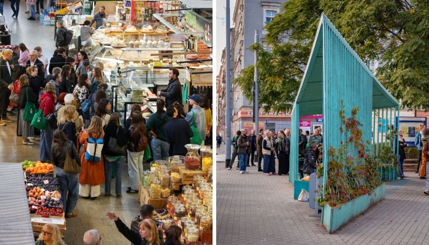 Dzień drugi Placemaking Europe Week w Hali Targowej i na placu Trójkątnym