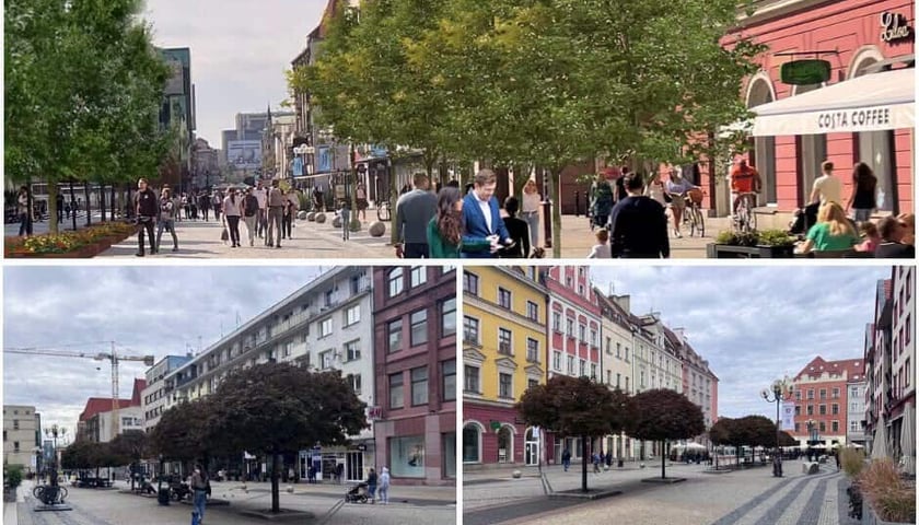 <p>Koncepcje zazieleniania Świdnickiej</p>