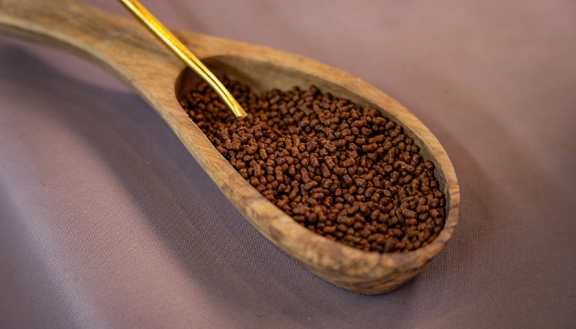 Wrocław Coffee Festival x Targi Biżuterii i Designu w Czasoprzestrzeni, 27.09.2026 r.