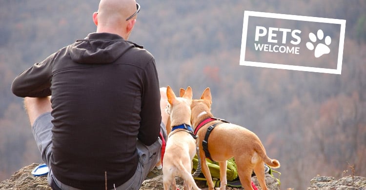 Pets Welcome na Dolnym Śląsku