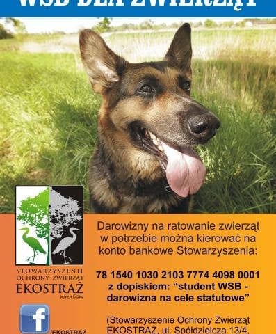 Zapominalscy mogą pomóc zwierzakom