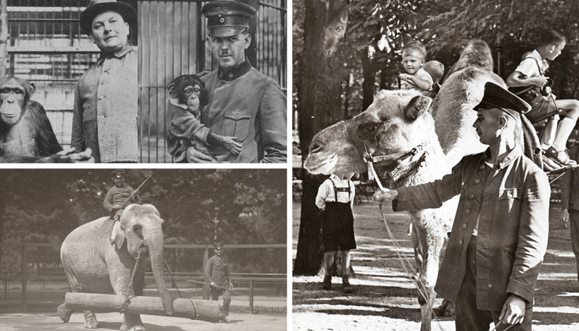 Zoo we Wrocławiu obchodzi 150-lecie!