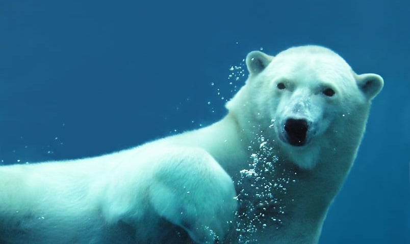 Wrocławskie zoo będzie mieć nowy pawilon [WIZUALIZACJE]