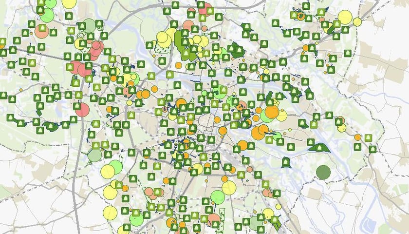 Gospodarka drzewostanem we Wrocławiu [MAPA]