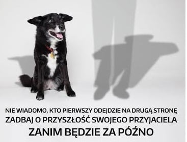 Zadbaj o ukochanego czworonoga na wypadek swojej śmierci