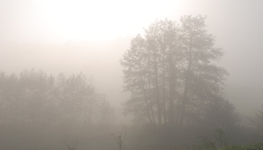 Mgła nad Wrocławiem. Nadal utrudnienia na lotnisku