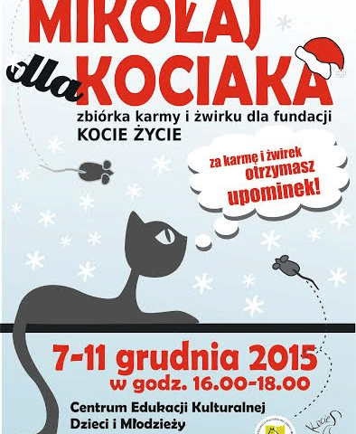 Mikołaj dla kociaka