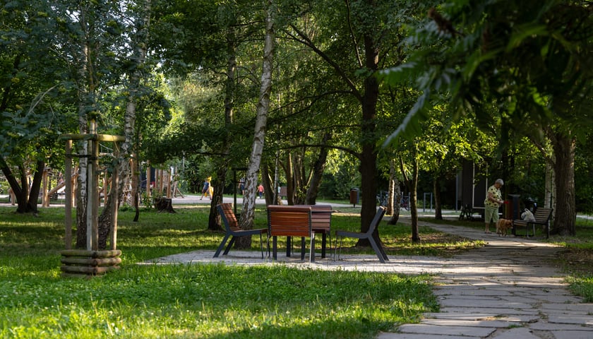 <p>Park Wojszycki</p>