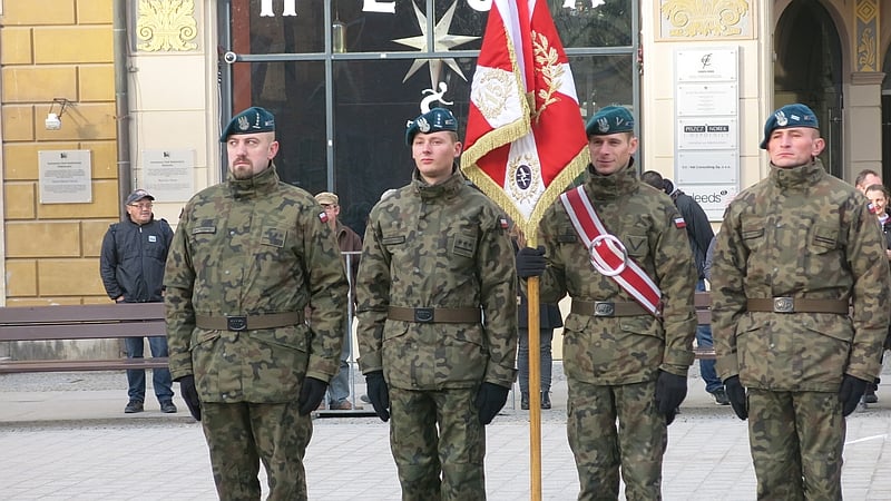 Wojskowi ochotnicy ślubowali na Rynku [ZDJĘCIA]