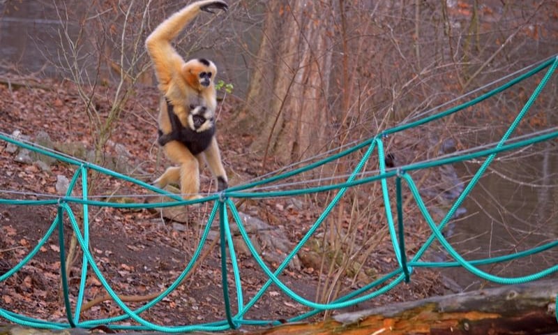 Nie znajdziecie zimy w zoo [ZDJĘCIA]
