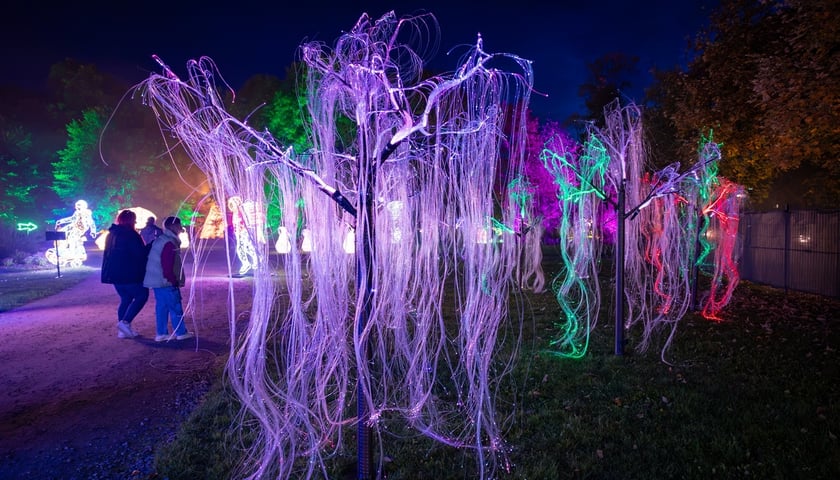 Lumina Park Wrocław - 15.10.2026 r.