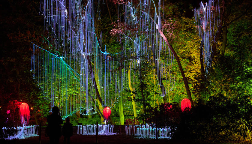 Lumina Park Wrocław 2023 r.