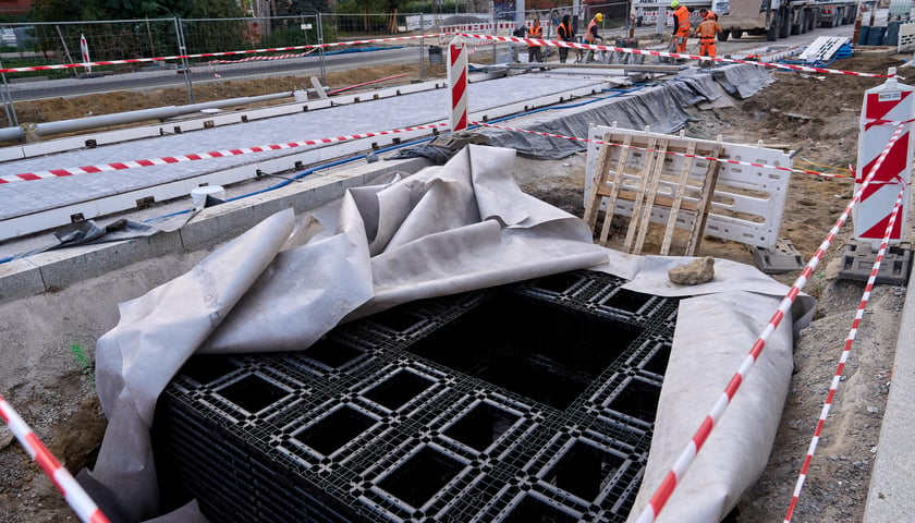Elementy, z których składany jest moduł antykompresyjny. Dzięki takim modułom możliwe jest sadzenie drzew wśród gęstej sieci podziemnych instalacji
