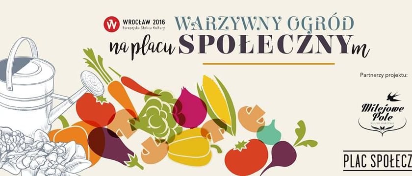 Powstanie ogród warzywny na pl. Społecznym