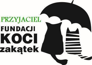 Potrzebni przyjaciele fundacji
