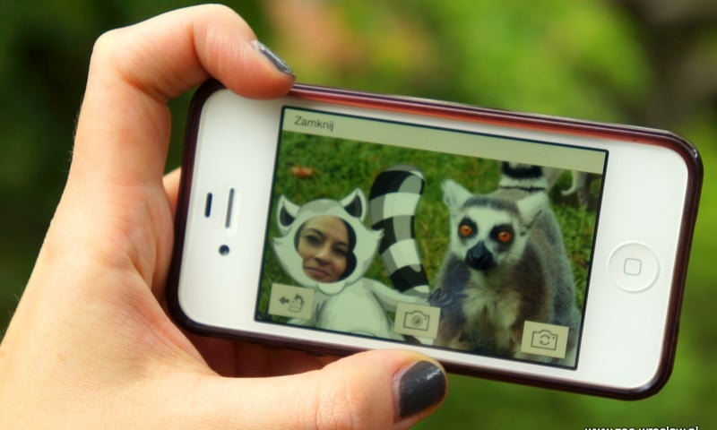 Wirtualna pocztówka z wrocławskiego ZOO