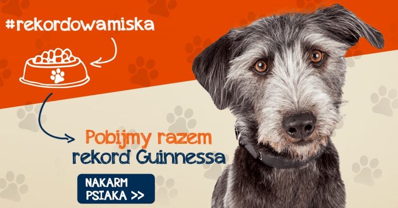 Rekord Guinnessa i pomoc zwierzętom - finał akcji Rekordowa Miska
