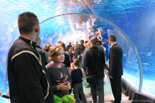 Rekordowa frekwencja w zoo w długi weekend