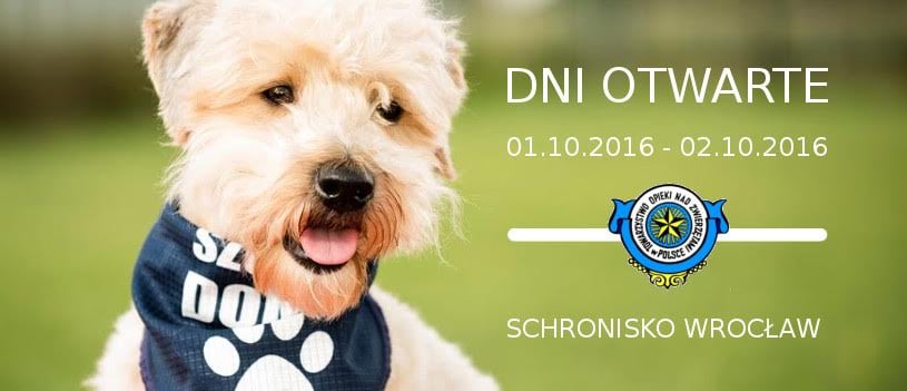 Dni Otwarte Schroniska dla Bezdomnych Zwierząt we Wrocławiu
