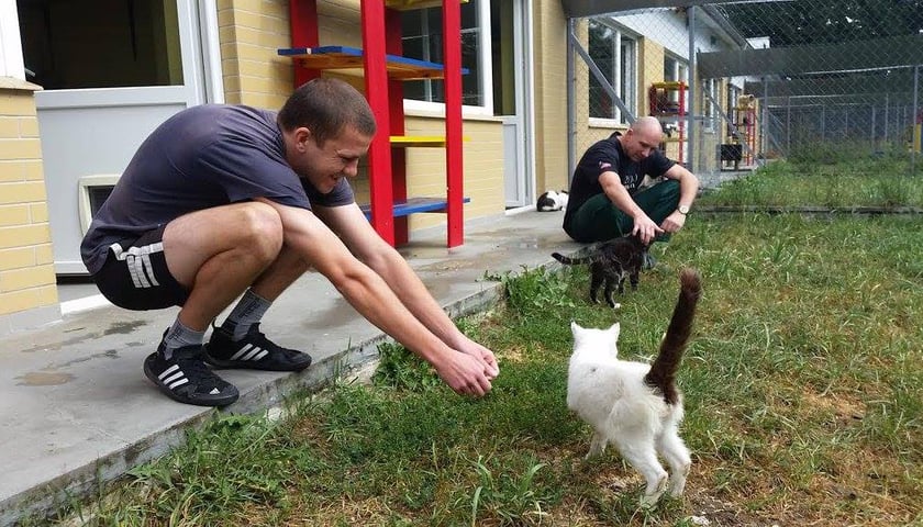 Wolność na smyczy – więźniowie pomagają bezdomnym zwierzętom