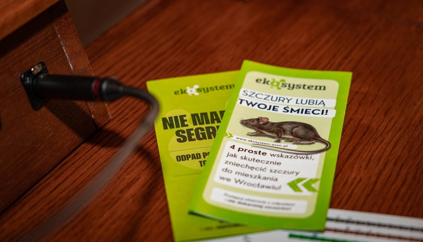 Bezpłatne szkolenie dla gastronomii w Sali Sesyjnej Rady Miejskiej Wrocławia