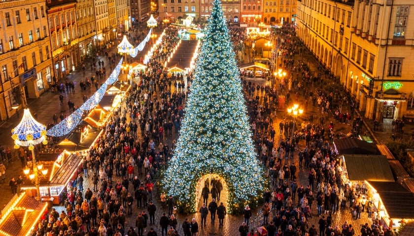 Tak może wyglądać wrocławska choinka, która stanie na Rynku pod koniec listopada 2026 roku
