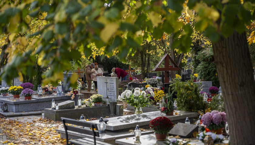 <p>Cmentarz przy Smętnej. Zdjęcie archiwalne z 2024 roku.</p>