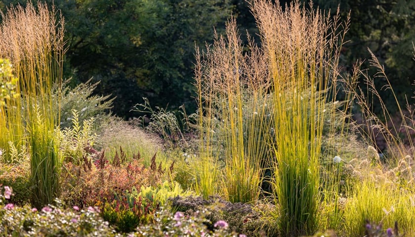 Jesień w Arboretum Wojsławice