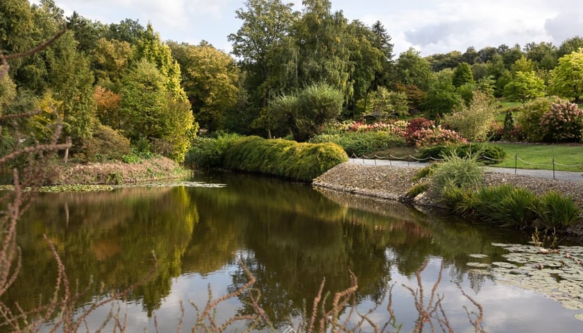 Jesień w Arboretum Wojsławice