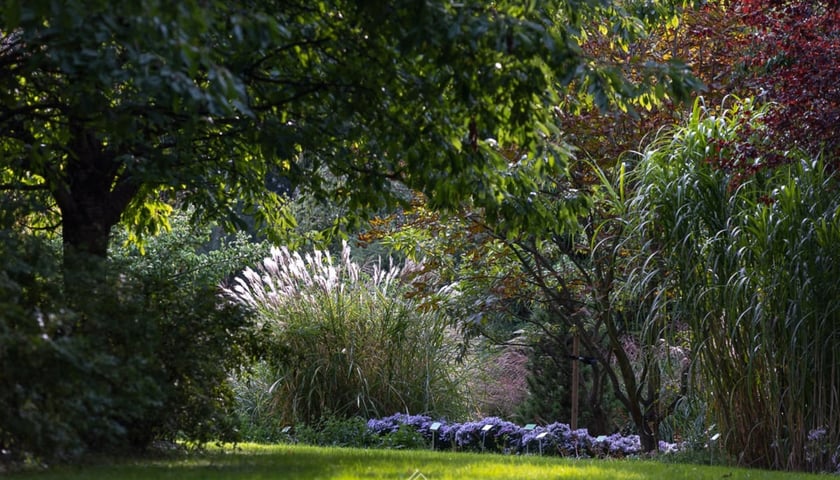 Jesień w Arboretum Wojsławice