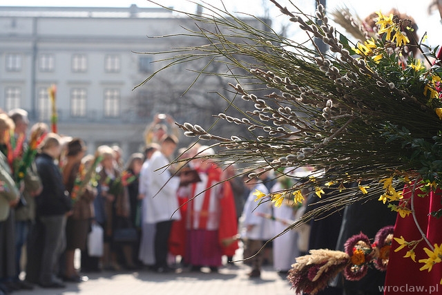 Niedziela Palmowa. Światowy Dzień Młodzieży