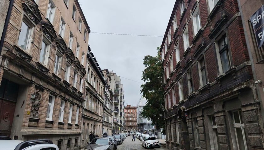 Projekt Ptasia