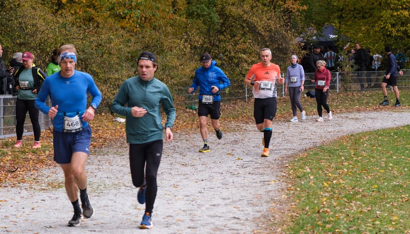 Uczestnicy biegu CITY TRAIL w Lesie Osobowickim. Wrocław, 24.10.2026.