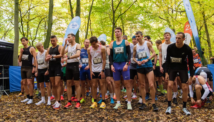 Uczestnicy biegu CITY TRAIL w Lesie Osobowickim. Wrocław, 24.10.2026.