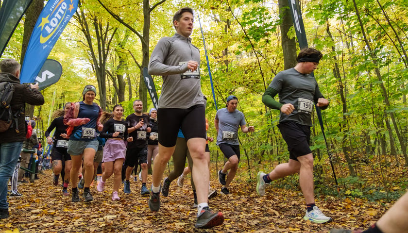 Uczestnicy biegu CITY TRAIL w Lesie Osobowickim. Wrocław, 24.10.2026.