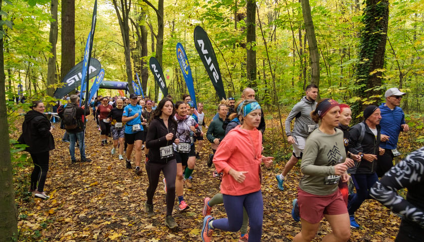 Uczestnicy biegu CITY TRAIL w Lesie Osobowickim. Wrocław, 24.10.2026.