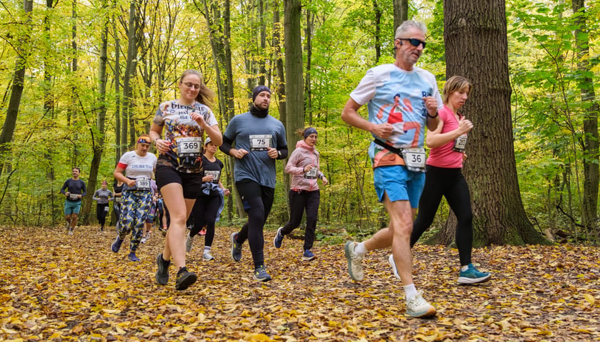 Uczestnicy biegu CITY TRAIL w Lesie Osobowickim. Wrocław, 24.10.2026.
