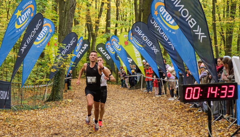 Uczestnicy biegu CITY TRAIL w Lesie Osobowickim. Wrocław, 24.10.2026.