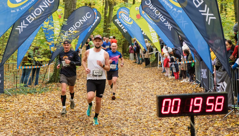 Uczestnicy biegu CITY TRAIL w Lesie Osobowickim. Wrocław, 24.10.2026.