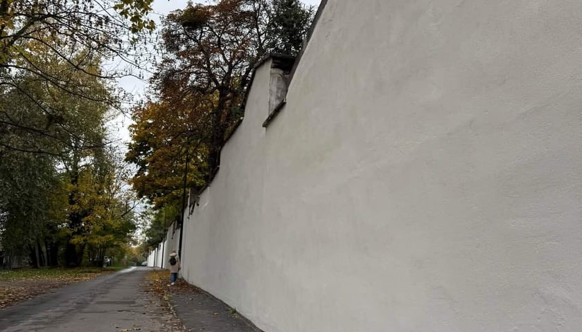 Na cmentarzu żydowskim ZIM odpowiadał za zreperowanie ogrodzenia, a także zabezpieczenie monumentalnych grobowców przylegających do ogrodzenia