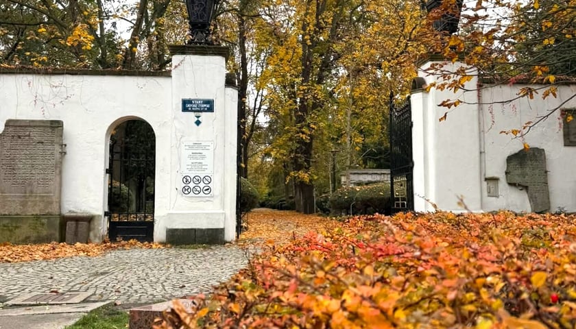 Na cmentarzu żydowskim ZIM odpowiadał za zreperowanie ogrodzenia, a także zabezpieczenie monumentalnych grobowców przylegających do ogrodzenia