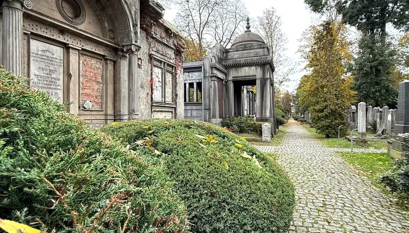 Stary Cmentarz Żydowski przy ulicy Ślężnej