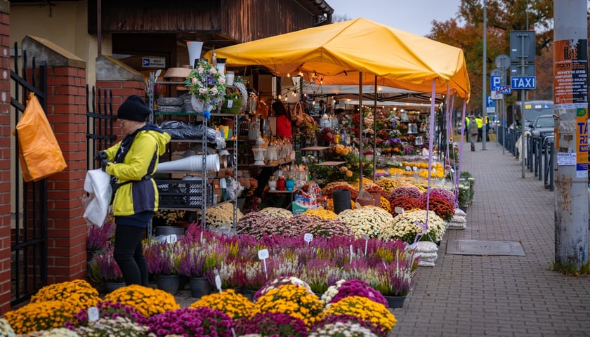 Cmentarz Osobowicki, 31.10.2026 r.