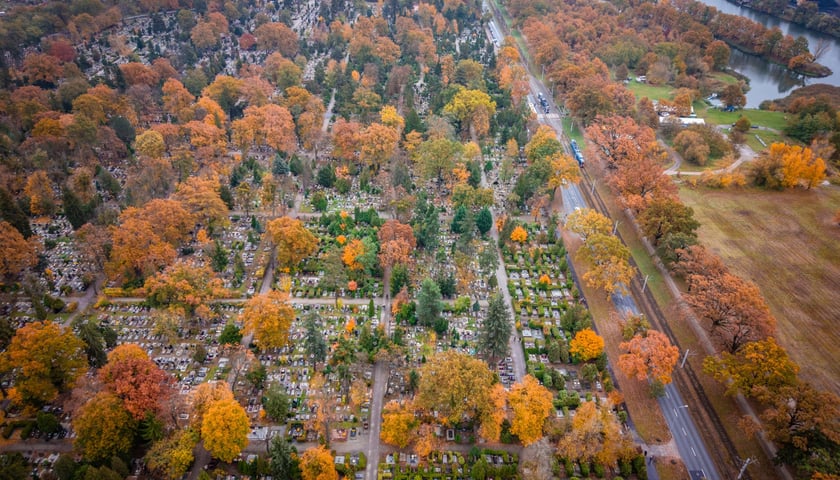 Cmentarz Osobowicki, 31.10.2026 r.