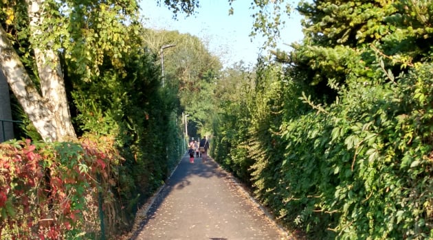 Alejka Olgi Boznańskiej po remoncie