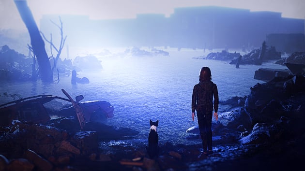 The Day After – postapokaliptyczna gra z Wrocławia