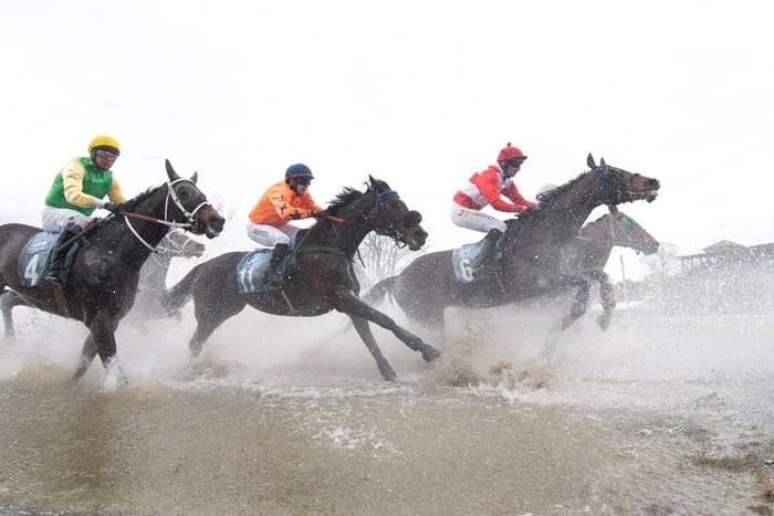 Tor wyścigów konnych: Sensacja na otwarcie sezonu na Partynicach