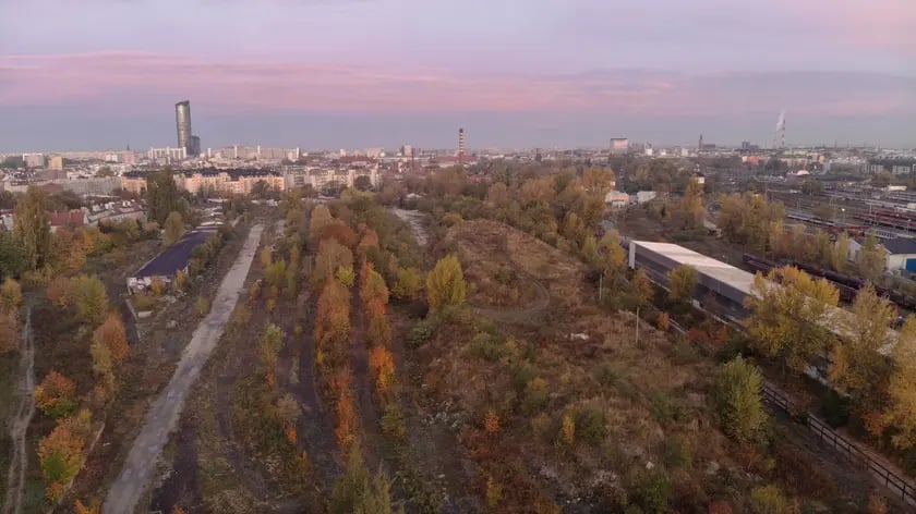 Przyszły Park Henrykowski - teren znajdujący się między Hubami, Tarnogajem i Przedmieściem Oławskim